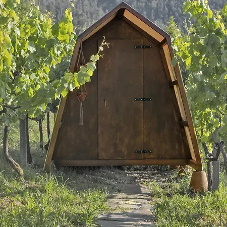 Vakantieboerderij Cimo Da Vinha - Nature Spot Castelo de Paiva