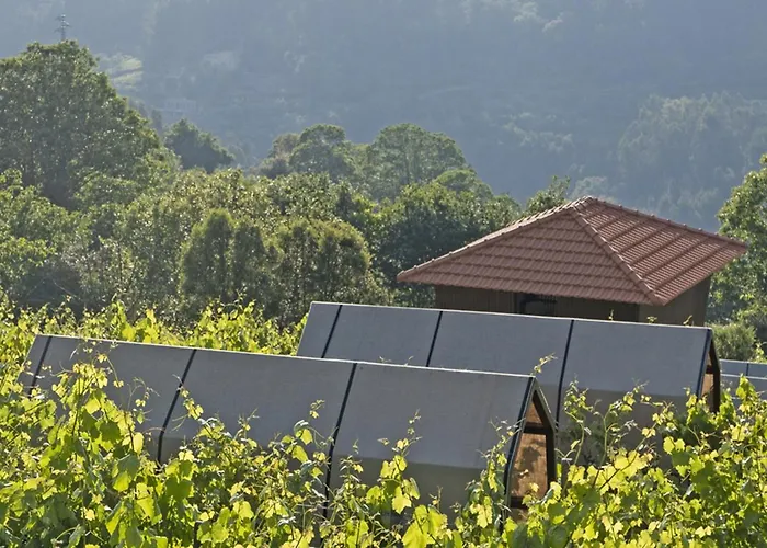 Alloggio per agriturismo Cimo Da Vinha - Nature Spot