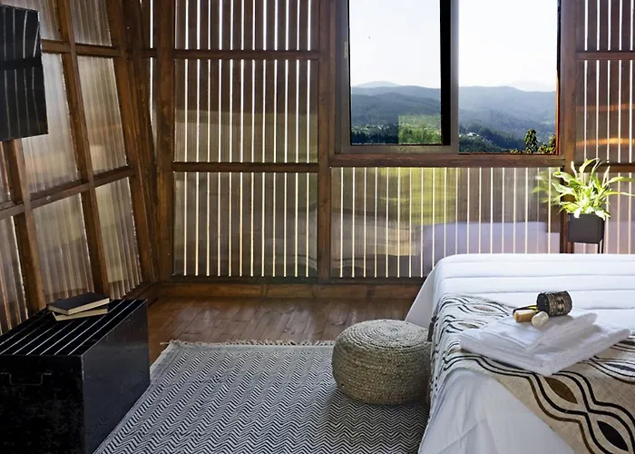 Cimo Da Vinha - Nature Spot *