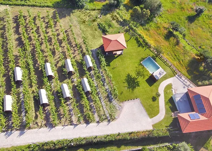 Séjour à la ferme Cimo Da Vinha - Nature Spot Castelo de Paiva